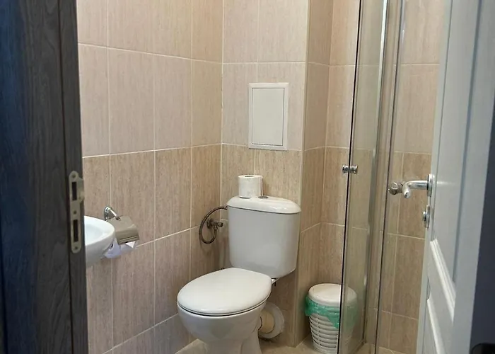 Saint John Sunny Relax